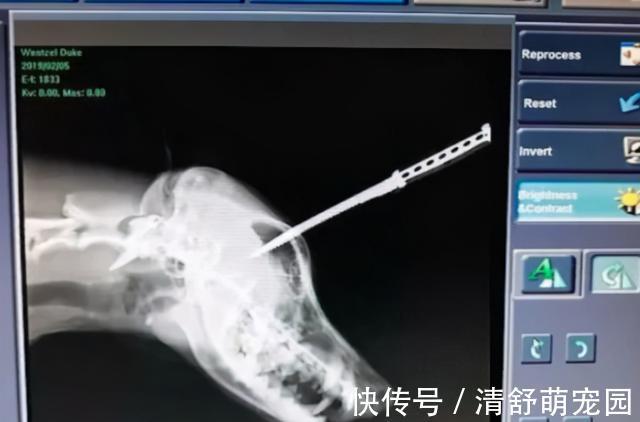 海角国精产品一二三产品 相关产品