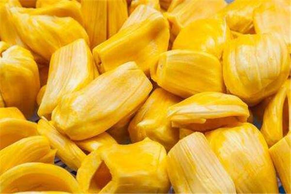 假日旅途：蒂罗尔之旅