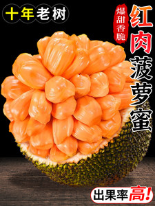 日产韩版精品一线二线三线区免费 相关产品