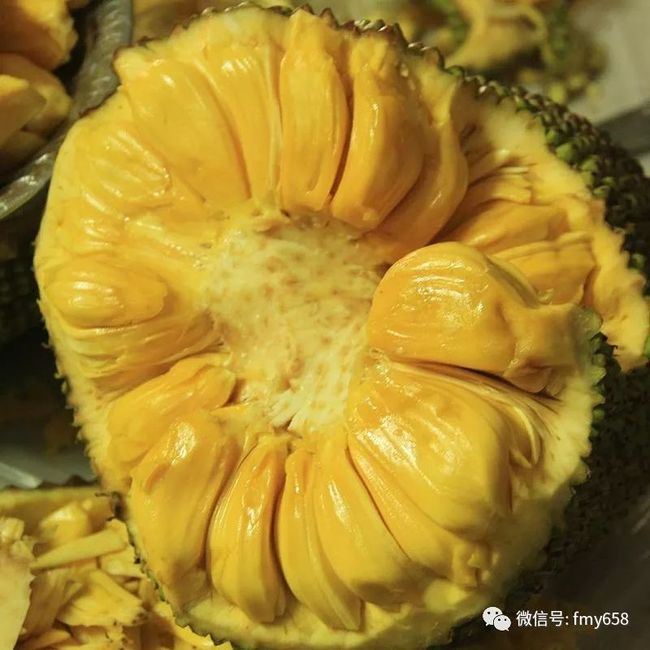 《水泄不通》 金银花 相关产品