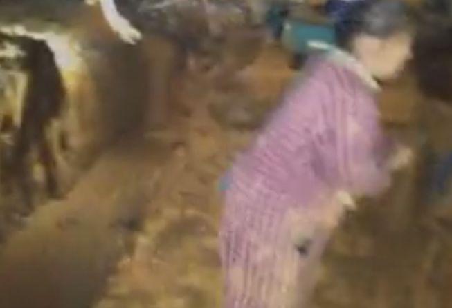 嗯啊开小嫩苞好深啊H视频 相关产品