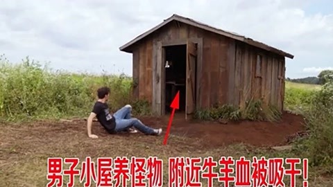一面亲上边一面膜下边美国 相关产品