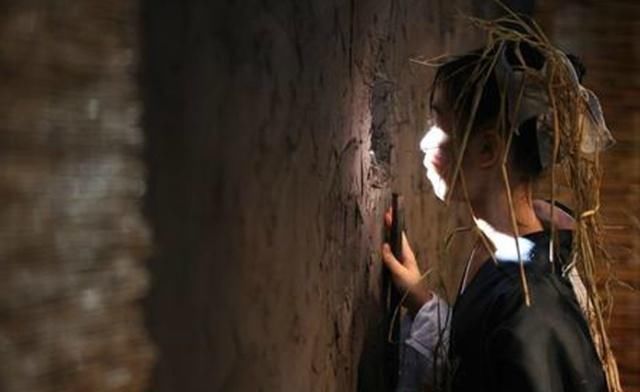 ZOOM与人性BOOD 相关产品