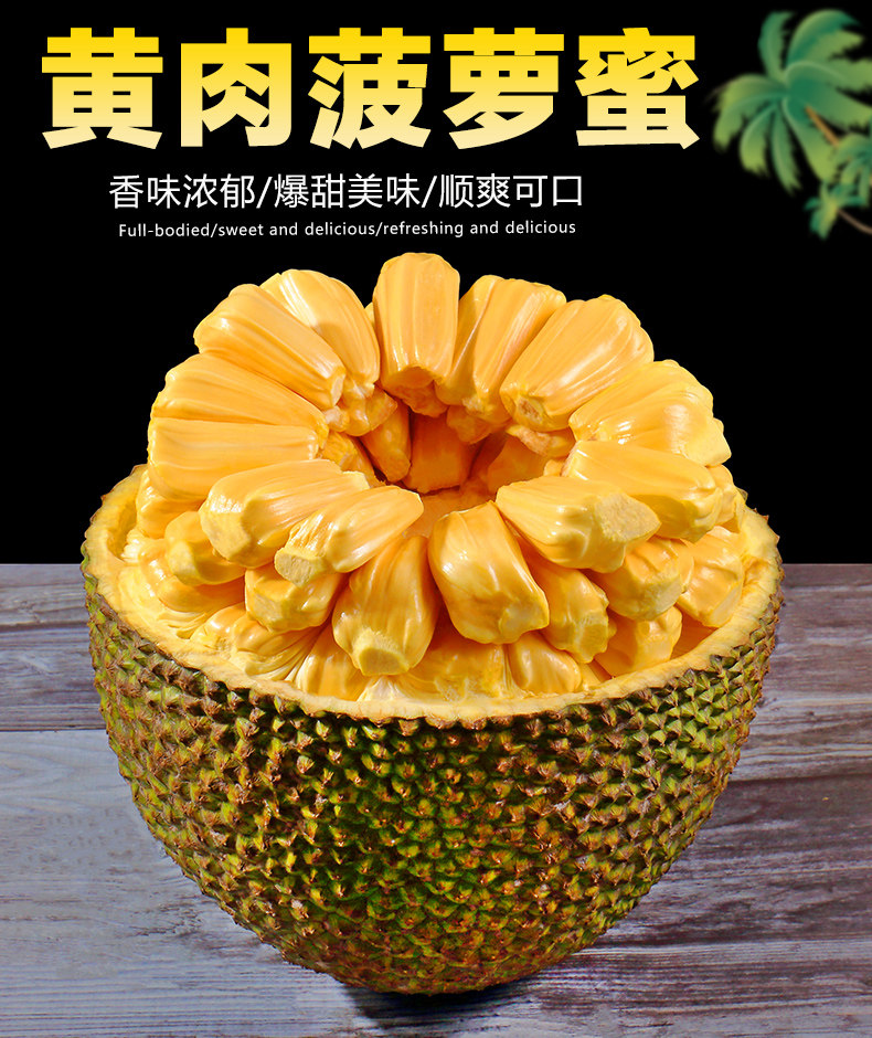 向日葵视频app下载无限观看 相关产品