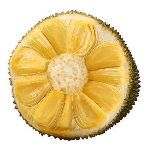 候车室：生命之书 待合室 相关产品