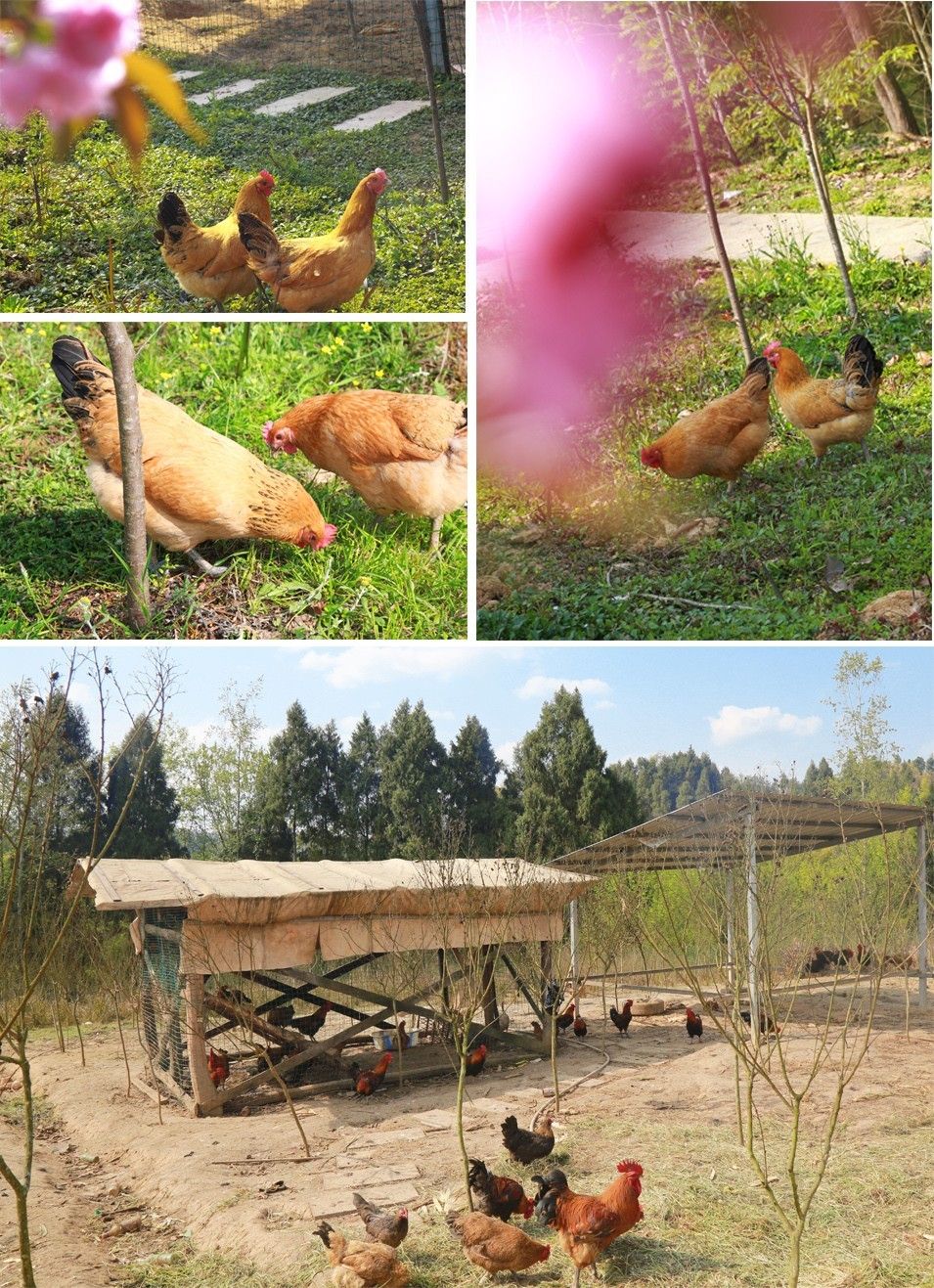 2b同人片 相关产品