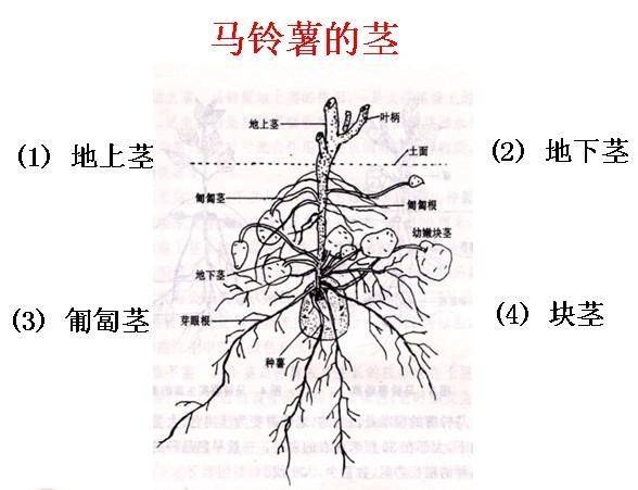 一色雨 相关产品