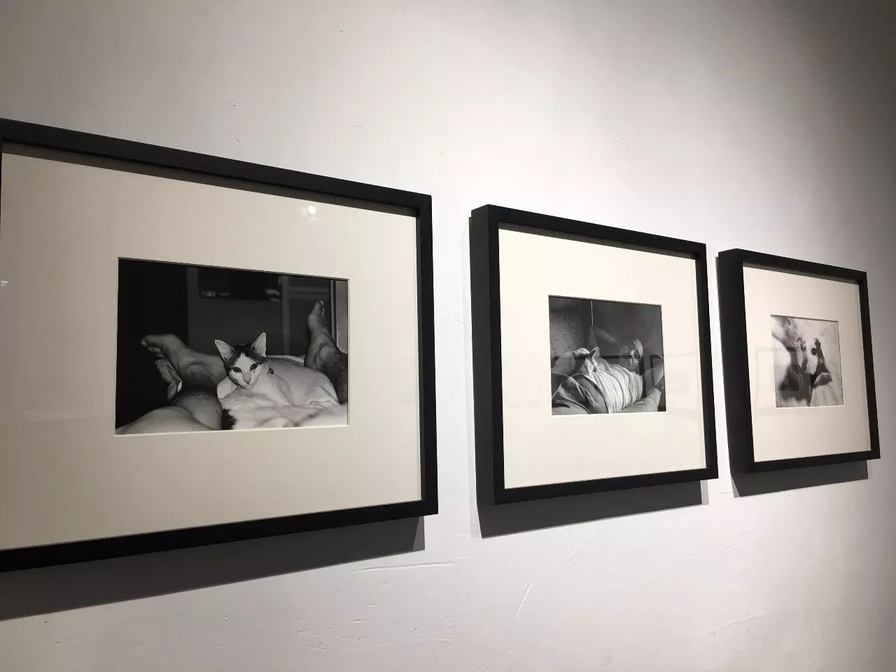 天美董小宛的主要作品是什么 相关产品