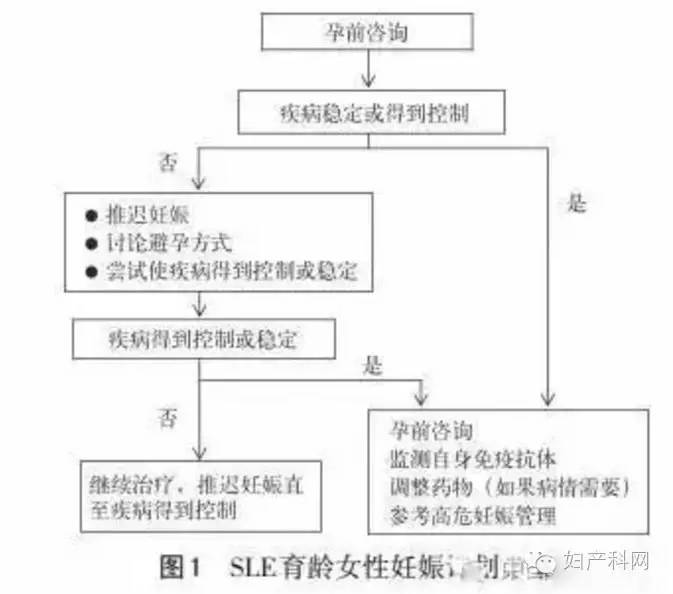 昆山宠速航宠物服务有限公司 招标 相关产品