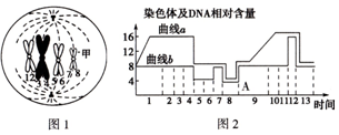 国外男同 产品图片