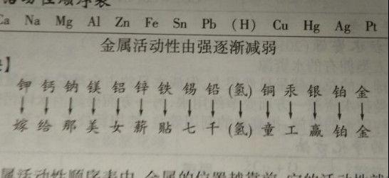 无敌神马影院在线播放高清版 相关产品