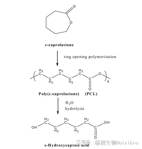 最新在线福利视频 相关产品