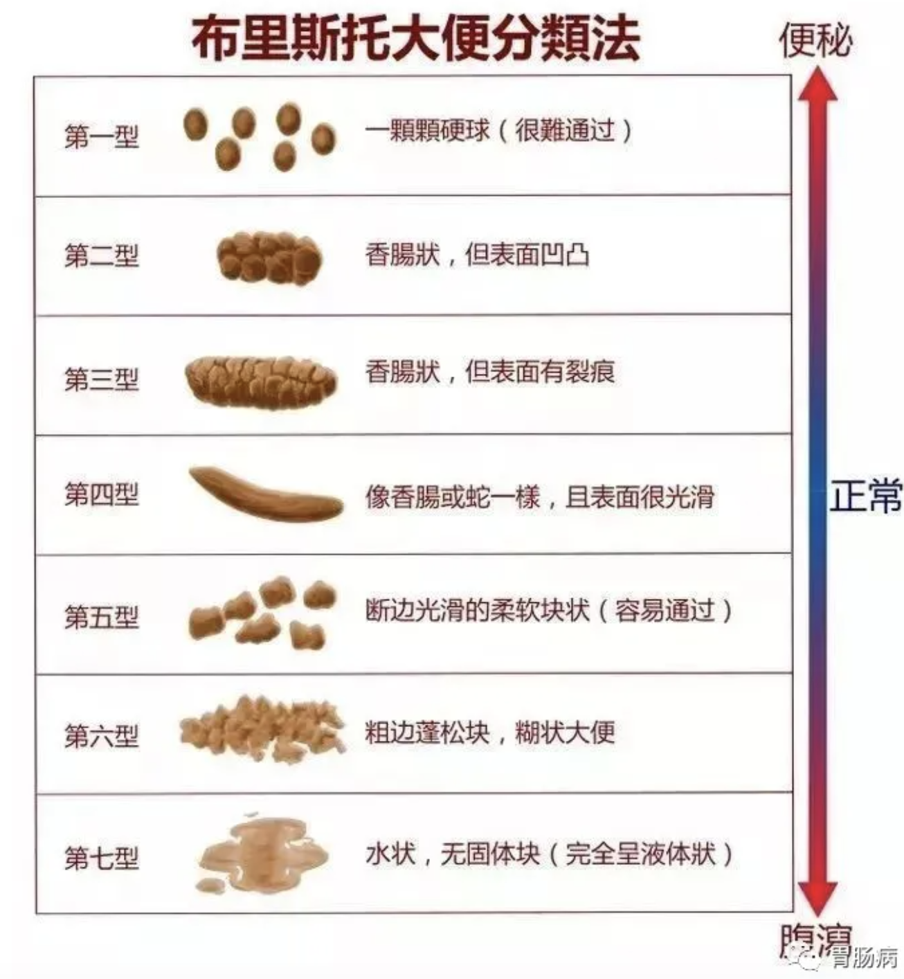 樱花动漫泡面 相关产品