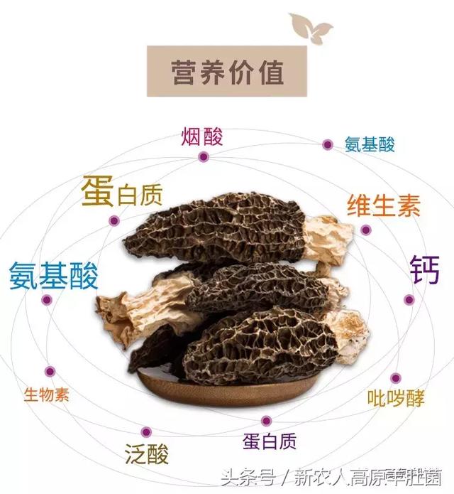 亚洲欧洲美洲无码精品 相关产品