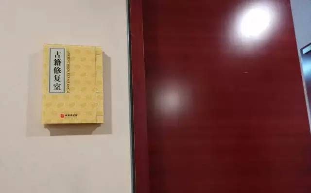 红色警戒啄木鸟 相关产品