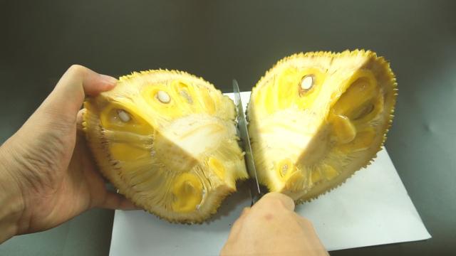 芭乐视下载app下载官网安装 相关产品