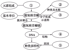 第一次插哪里 相关产品
