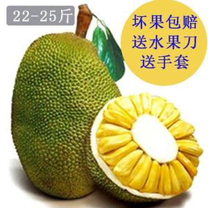 龙卷3d同人 相关产品