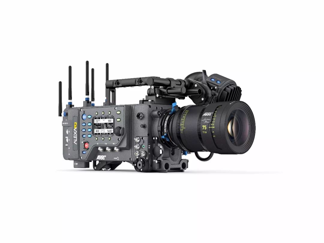 电影啄木鸟系列 鸟系电影电影一次性的啄木