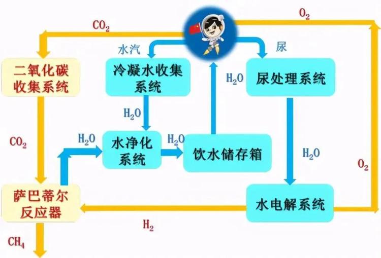玩偶姐姐在线看 相关产品
