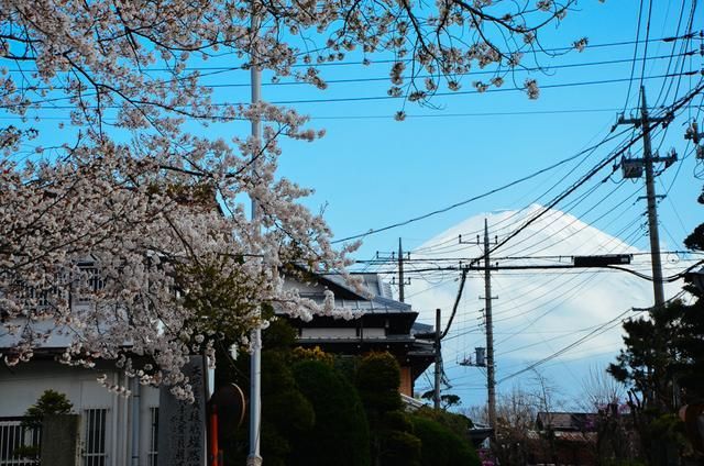 suiusi在线视频 相关产品