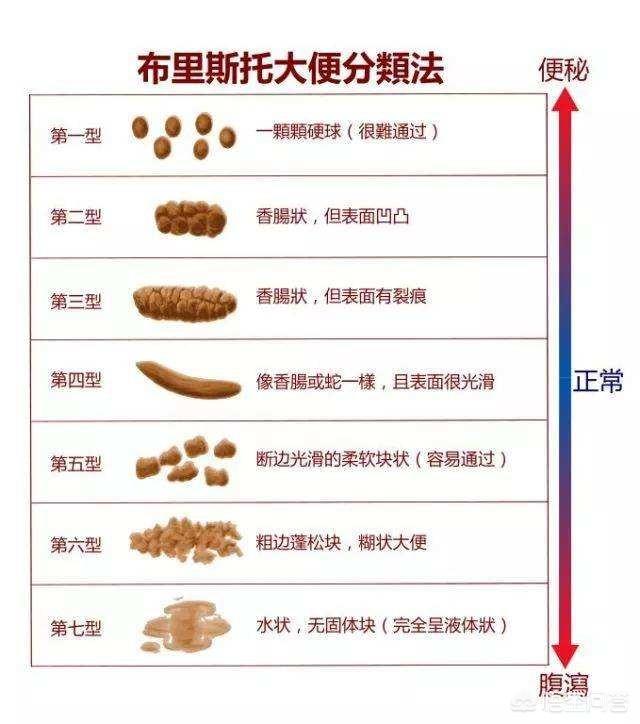 视频聊天免费的交友软件 相关产品
