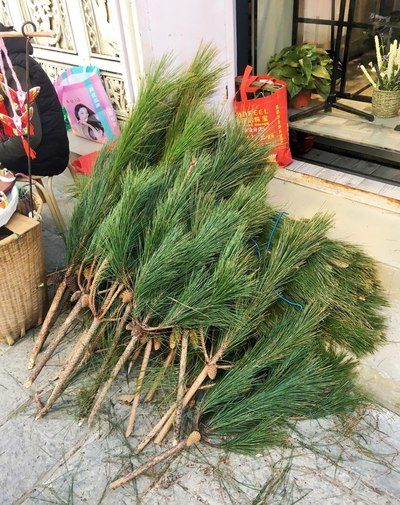 藏精阁 相关产品