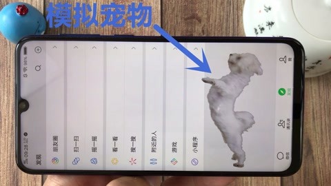 含羞草高清在线影院 推荐视频