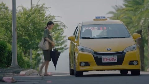 小马拉大车 菊花 相关产品