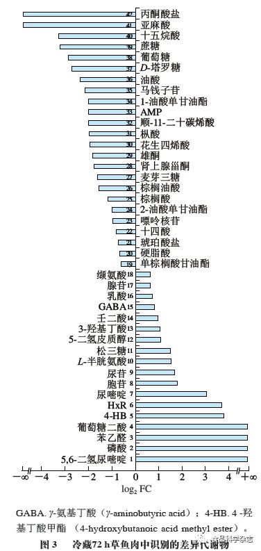 野花日本大全免费观看3 相关产品