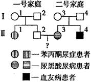 今日头条 相关产品