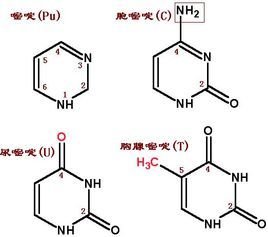 寸止挑战1 这让我想起小时候练毛笔字