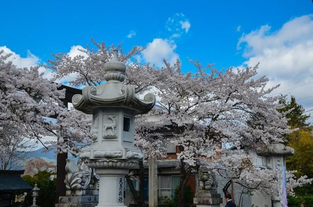 何去何从 相关产品