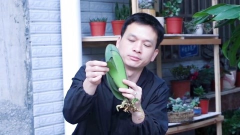 51视频破解版 推荐产品