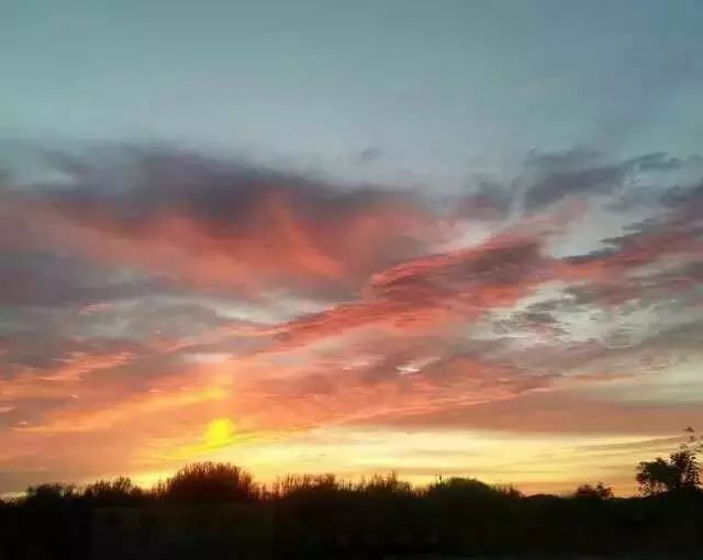 倒霉蛋淘金记 产品图片