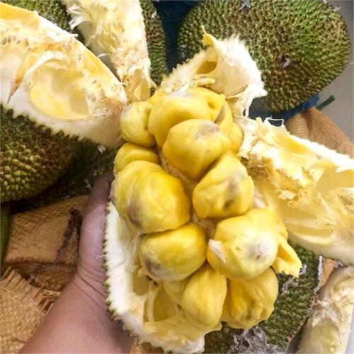 侠僧探案传奇之洛阳花会 相关产品