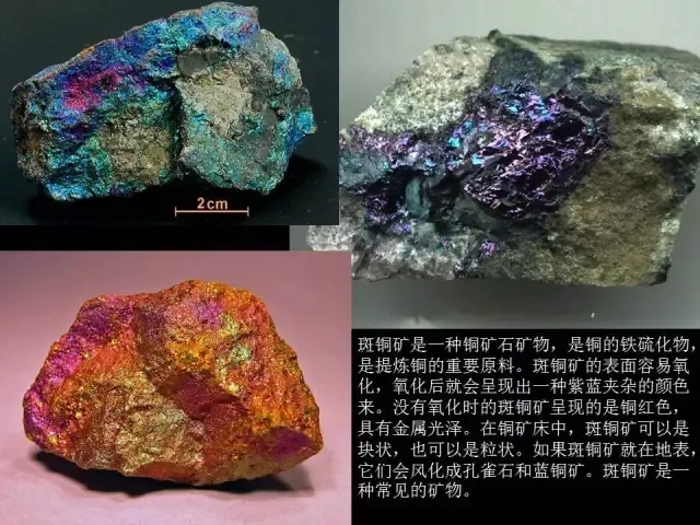 打扑克全过程带痛声 相关产品