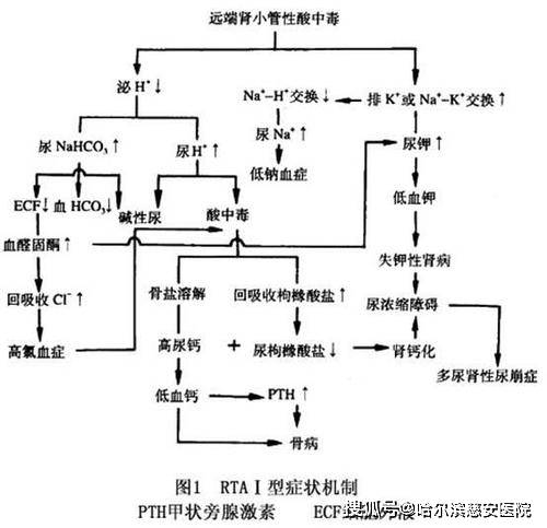 仙踪林老狼在线官网金属 产品图片
