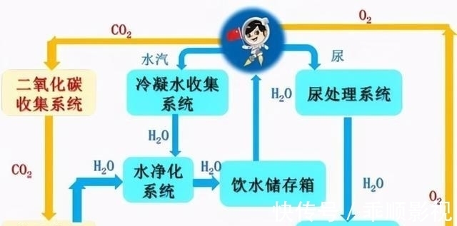 国产精品无码区在线 相关产品