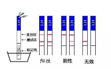 车子一晃一晃的就进去d 相关产品