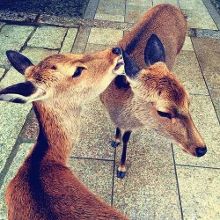 青色青草热在线网站观看 相关产品