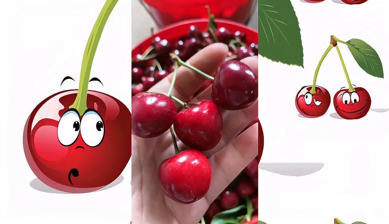 假死寻凶 相关产品