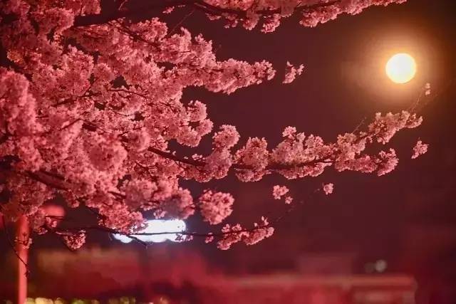 2019午夜福利不卡片在线 匿名性创造了“表达安全区”