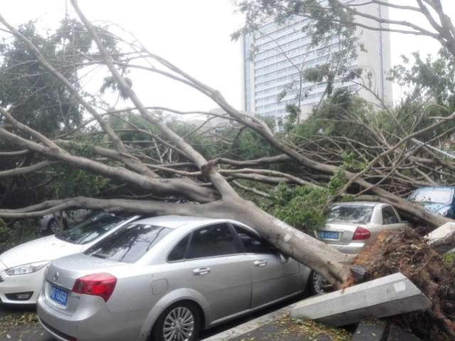 焦点影业 相关产品