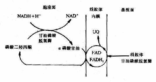 九九热线有精品视频 相关产品