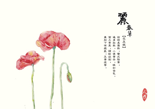 水果派寸止挑战 相关产品