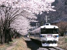 以爱之名 产品主图