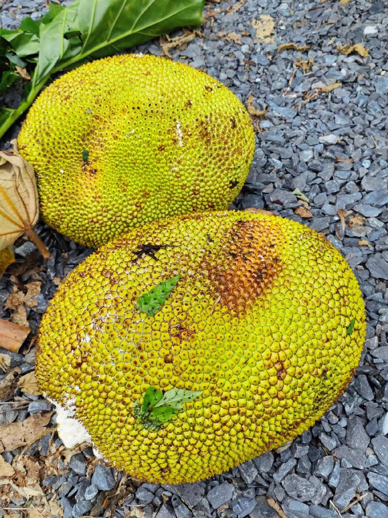 小草免费观看在线 相关产品