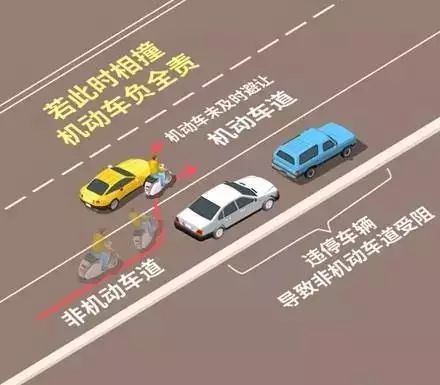 野花视频最新 视频截图