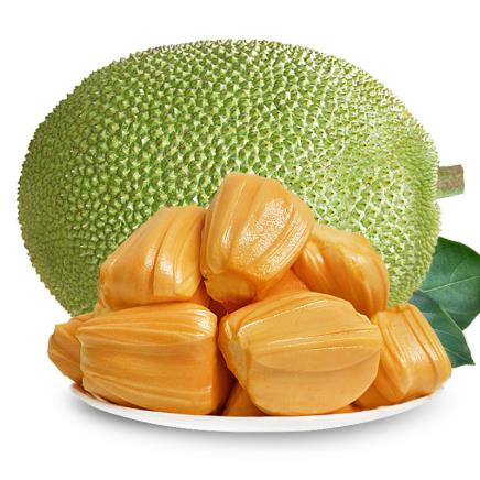 腿再打开一点就能吃到扇贝作文 相关产品